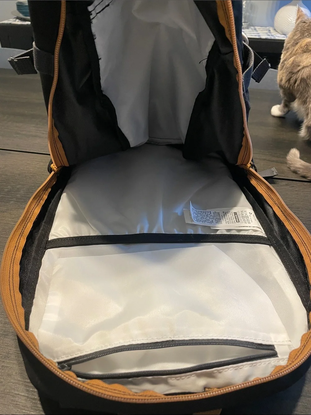 Quechua Black Backpack with Gray Straps